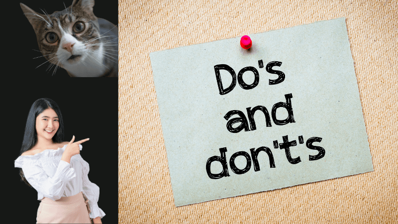 Dos and Don’ts When Speaking at a Public Event